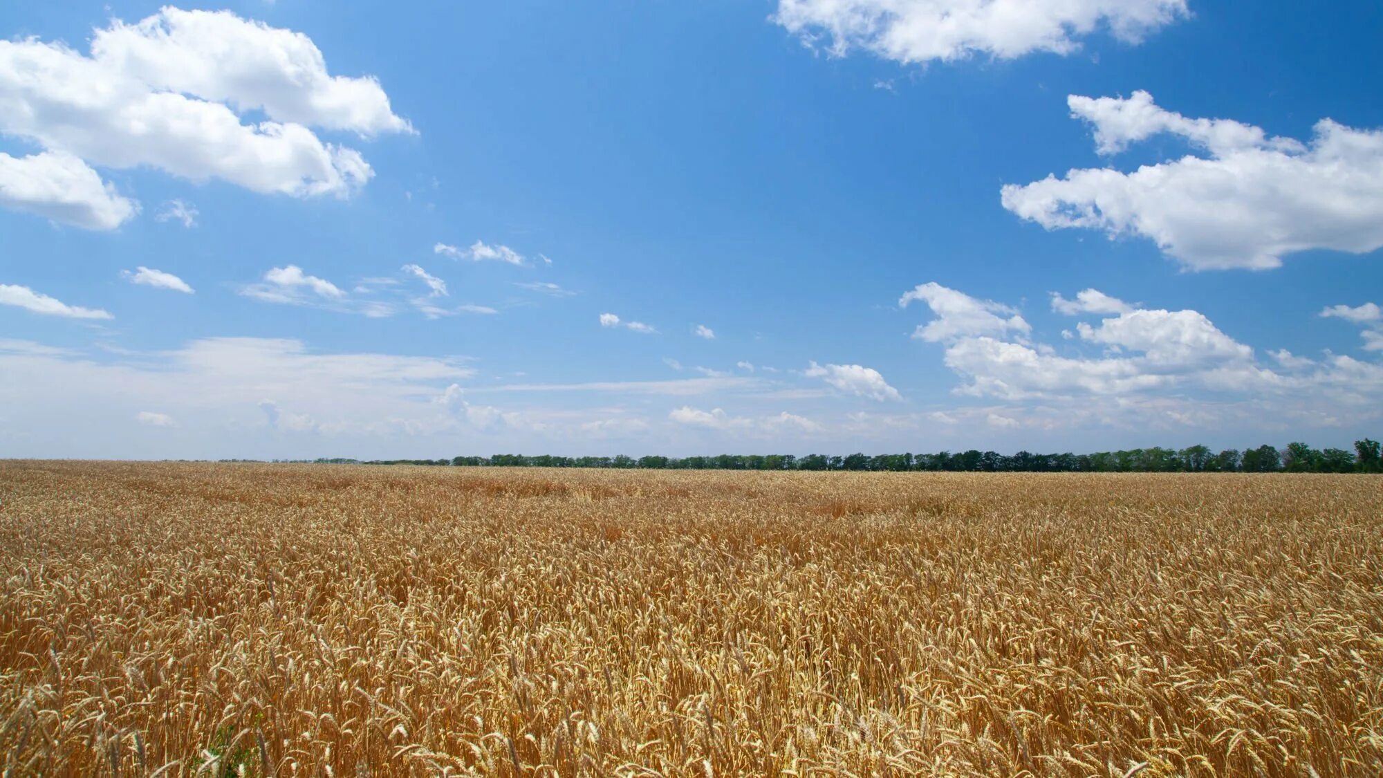 москва павелецкая павелецкий вокзал. вокзал льеж-гийемен. аэропорт шереметьево на карте москвы. самый ближний вокзал. вокзал пуэрта де аточа, мадрид, испания архитектура.