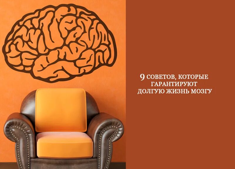 Сколько может прожить мозг. Здоровый мозг на долгую жизнь. Life Brain.