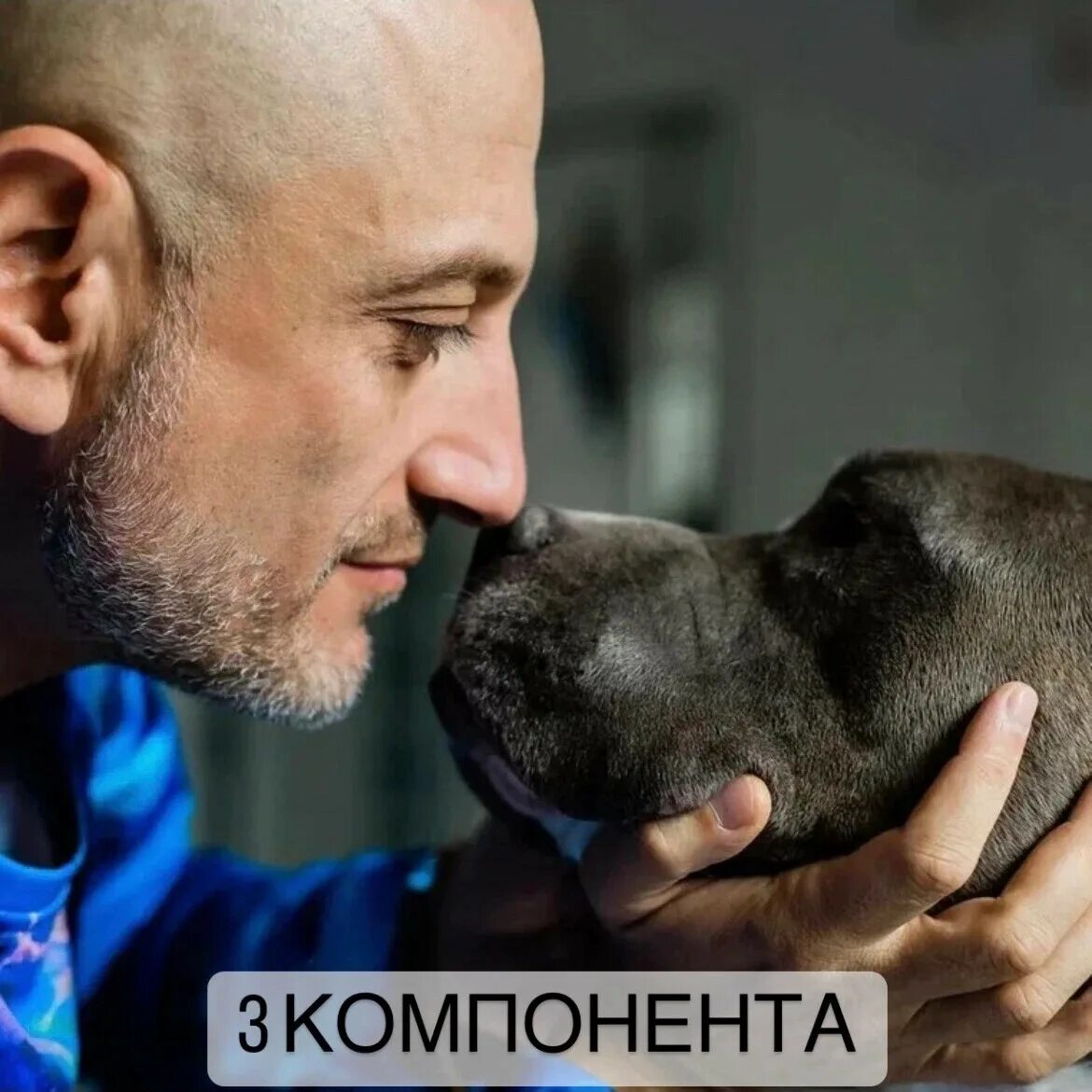 Кинолог антуан наджарян. Антуан наджарян дрессировка собак. Коррекция поведения собаки антуан наджарян. Кинолог антуан наджарян. Дрессировщик собак антуан наджарян.