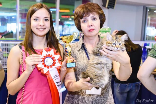 Ближайшая выставка в москве кошек. Ближайшие выставки кошек в москве. Компании с логотипом кошки. Кошачий клуб волгоград. Cat club клуб кошек.