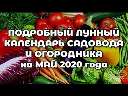 Посевной календарь огородника 2020 год