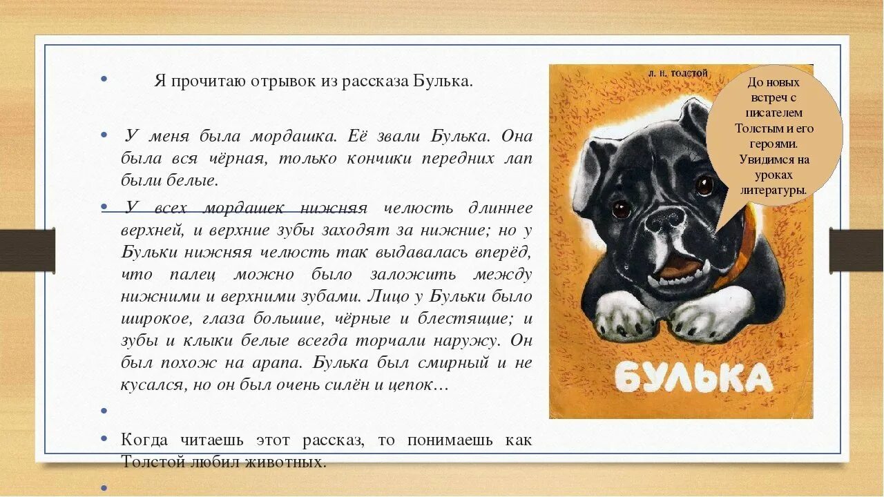 Толстой про собаку. Рассказ л н Толстого бубулька. Произведение Льва Николаевича Толстого Булька. Лев толстой рассказ Булька. Толстой Булька герои.