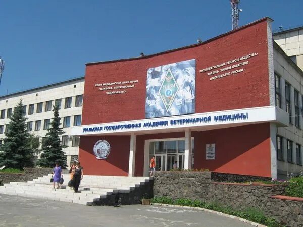 Ветеринарный университет троицк. Южноуральский технологический университет челябинск. Южноуральский аграрный университет. Пр. Южно-уральский государственный аграрный университет троицк.