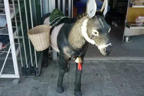 Собака 2 ослик