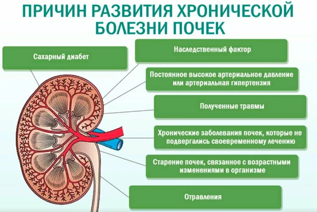 Почему плохие почки