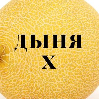 Ава дыня