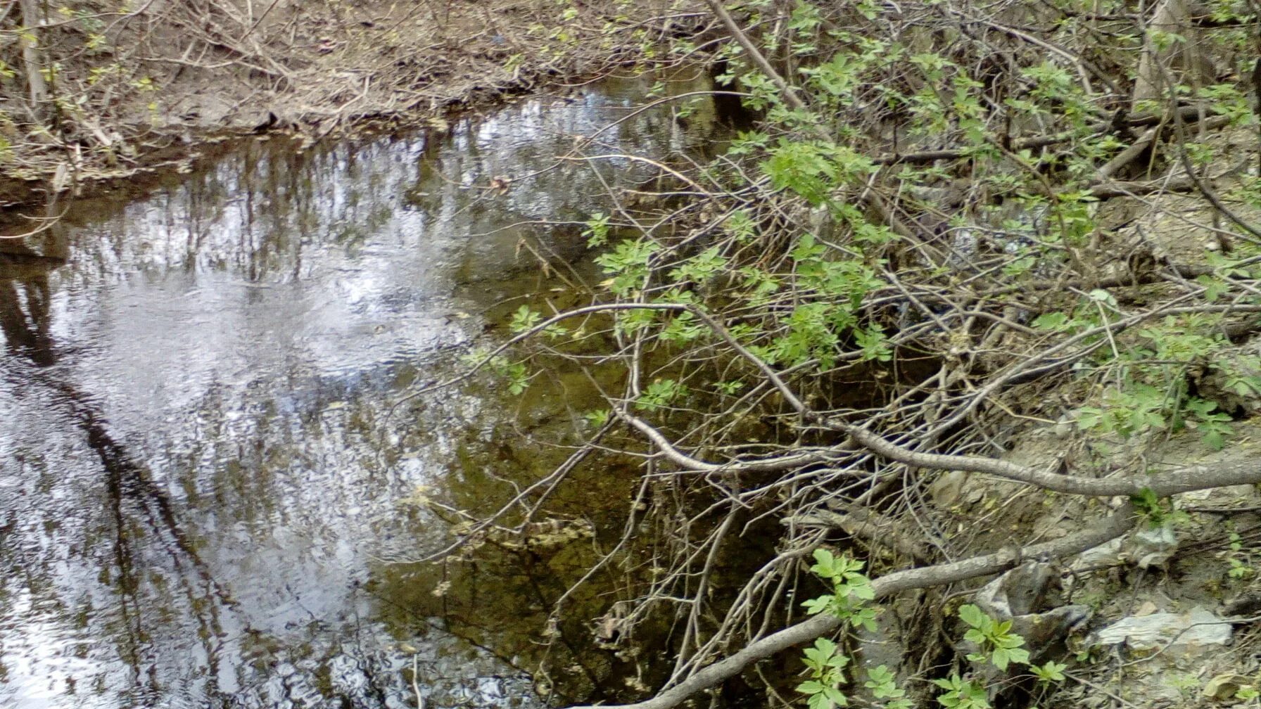 Полянка елшанка. Река елшанка. река елшанка оренбургская область. елшанка (приток урала).
