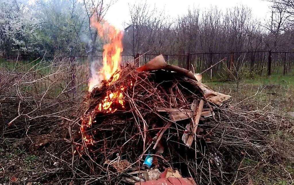 Можно ли жечь ветки на своем участке. Сжечь траву на участке. Сжигание веток. Сжигание сухой травы на дачном участке. Сжигание веток на участке.