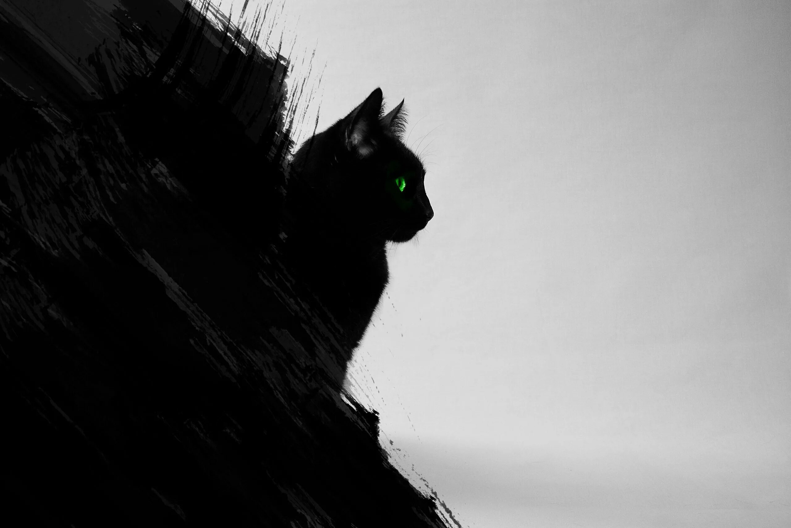 Кот на заставку. Черный. Красивая аватарка с чёрным котом на белом фоне. Темный кот арт серьезные.