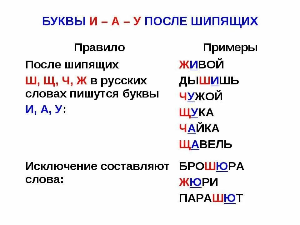 Слова н й. Буквы и у а после шипящих. Буквы и у а после шипящих правило. Буквы и у а после шипящих правило с примерами. Буквы и у а после шипящих правило 5 класс.