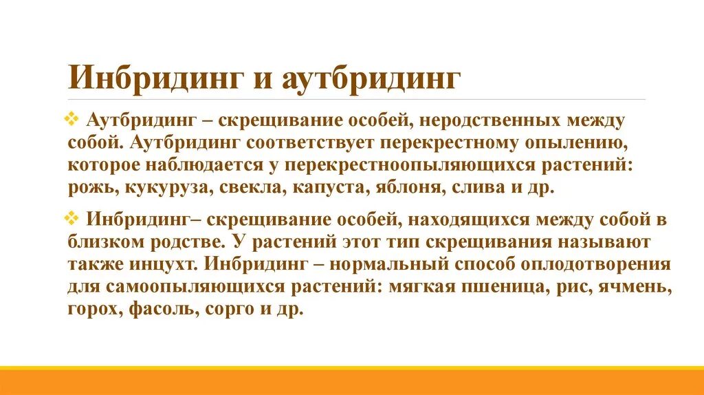 Гибридизация близкородственное скрещивание. Инбридинг и аутбридинг. Примеры инбридинга в селекции. Инбридинг это в биологии. Инбридинг аутбридинг гетерозис.