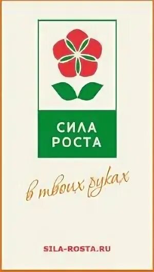 Ооо ук роста ростов