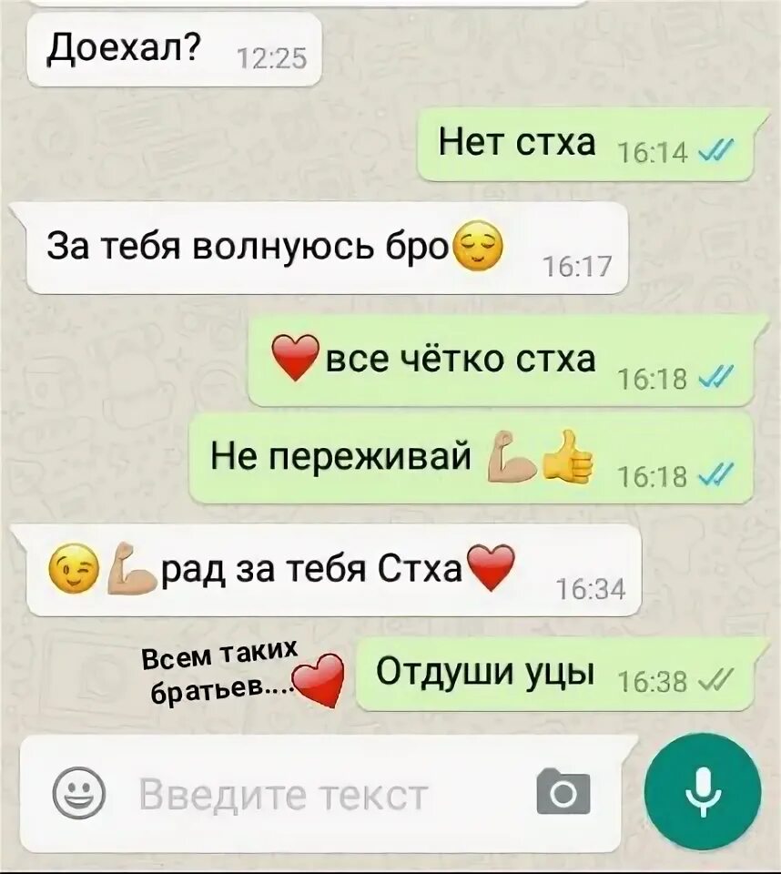 Что такое уцы. Уцышка. леее уцы. что значит уцы. уцышка кто это.