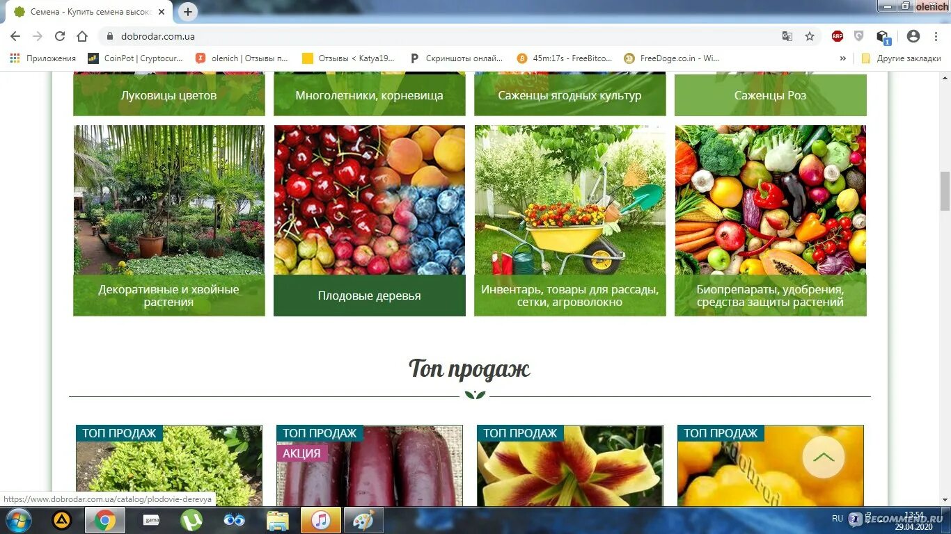 Интернет сайт семена. Магазин семена почтой. Semena. Semena. Семена овощей.