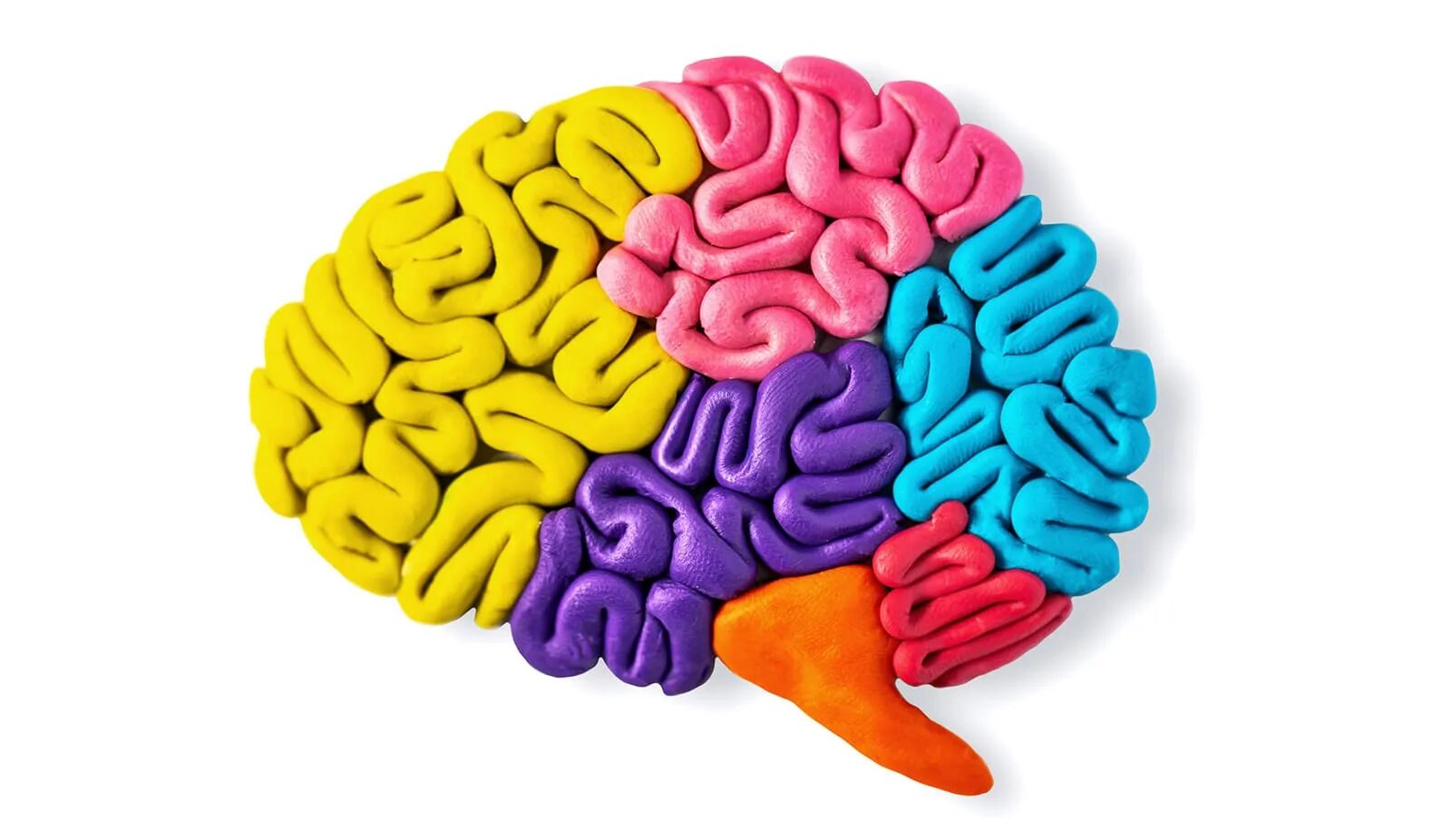 Colored brains