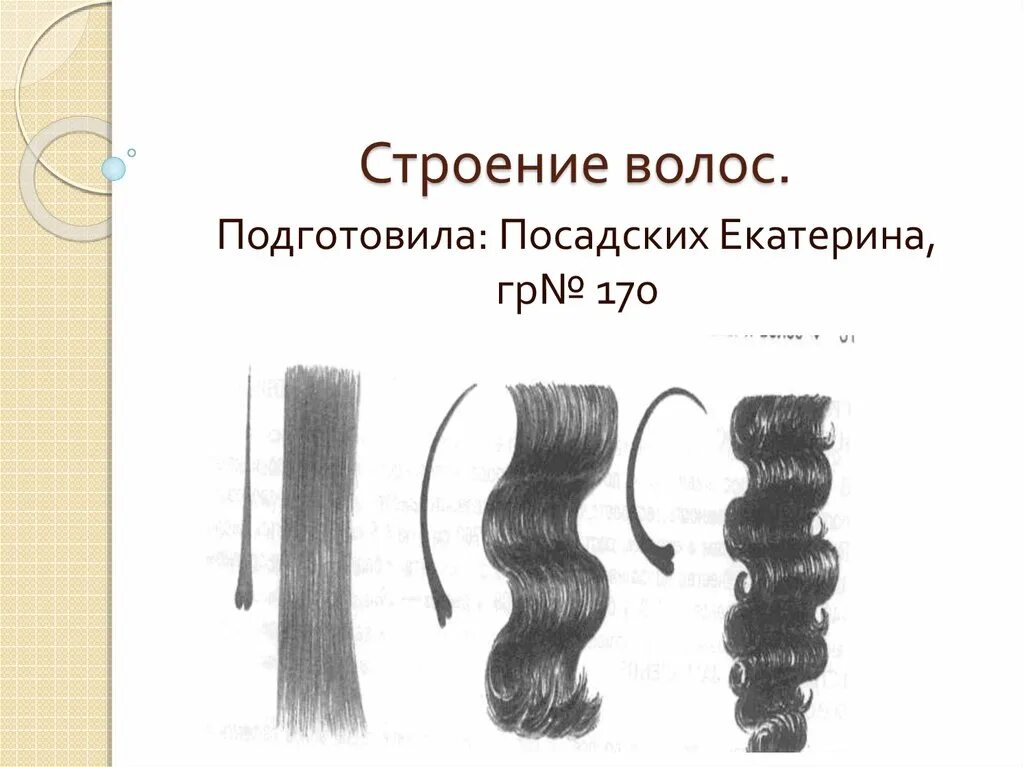Разные структуры волос. Разновидности структуры волос. Строение волоса. Строение волоса типы волос.