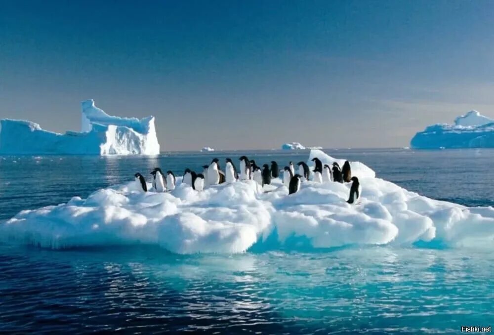 Художники и глобальное потепление. Потепление. Глобальное потепление в арктике. Глобальное потепление климата. Глобальное потепление представляет серьезную опасность.