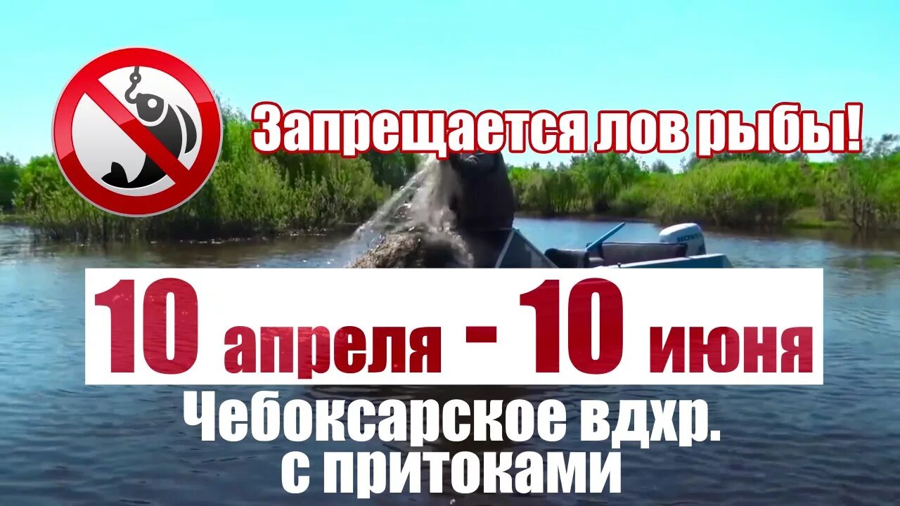 Нерестовый запрет в нижегородской. Нерестовый запрет на Горьковском водохранилище. Нерестовый запрет в Чебоксарском водохранилище. Запрет на ловля с лодок Горьковское водохранилище. Запрет рыбалки Чебоксарское водохранилище.