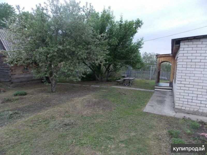Озеро зимари алтайский край. Село зимари алтайский край. Село зимари алтайский край. Озеро зимари алтайский край. Село зимари алтайский край.