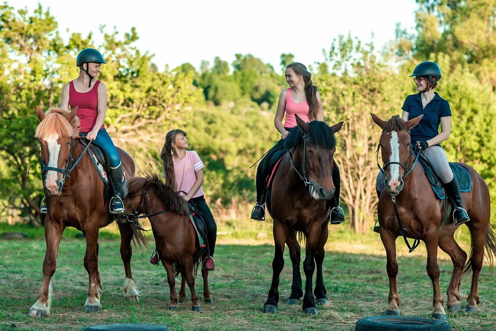 Катание на лошадях в орле. Кск макларен лошади. Кск рядом. Конюшня грин хорс семеновское. Прованс кск конюшни.