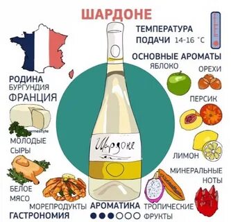 Вкус запах вина