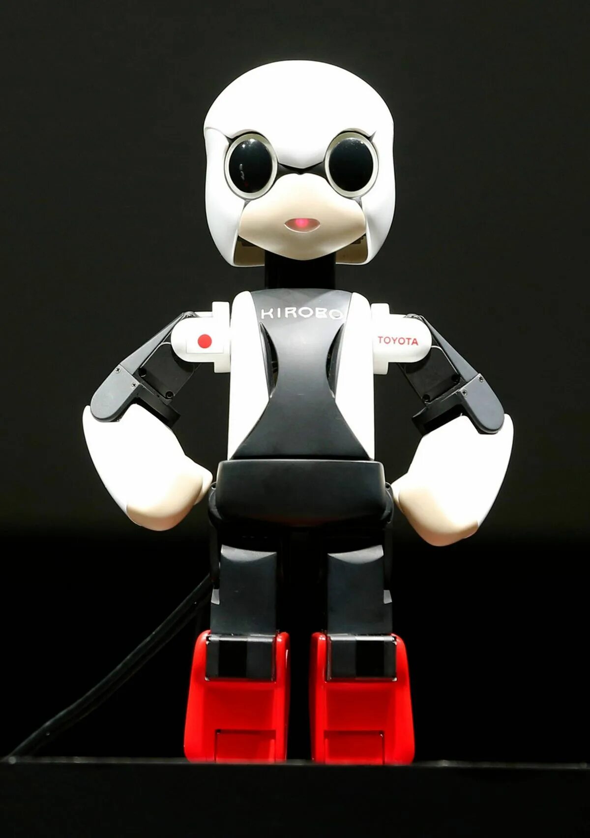 Robot he