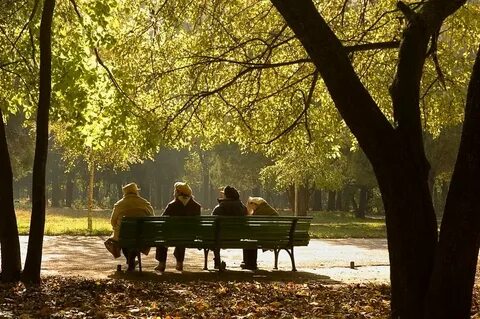 Осень жизни книга