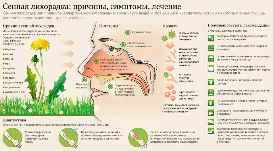 Раздражение носа от насморка. Сенная лихорадка поллиноз симптомы. Сенная лихорадка Тип аллергической. Аллергия на пыльцу. Сенная лихорадка причины.