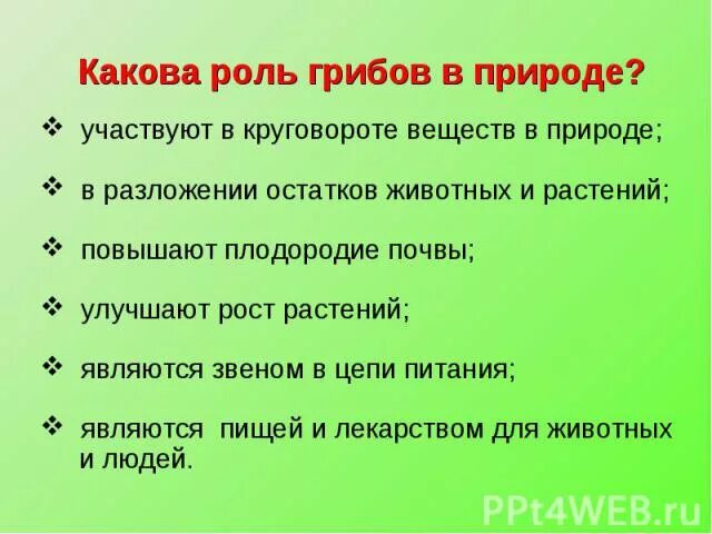 Роль грибов в жизни бактерий. Роль грибов в природе. Роль грибов в природе и жизни. Роль грибов в круговороте веществ. Какова роль грибов в природе.