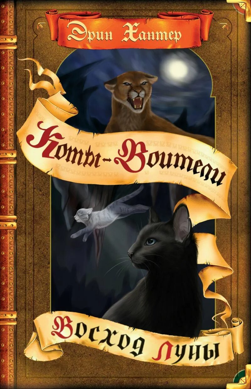 Эрин хантер коты воители. Кн кв. Хантер эрин "коты воители. Коты-воители эрин хантер книга. Коты воители коллекция книг.