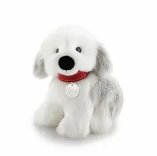 Dogs 30
