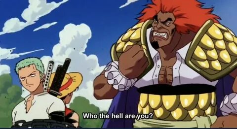 One piece imdb