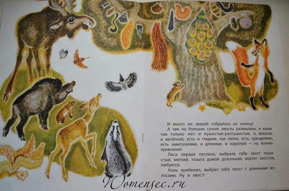 Хвост читать 2 класс. Хвосты. сказка.. иллюстрация к сказке хвосты. сказка хвосты русская народная. иллюстрации к русской народной сказке хвосты.