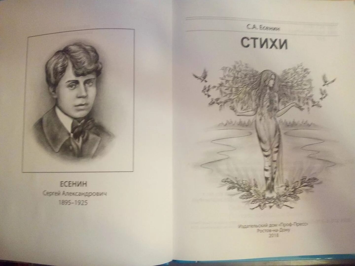 Иллюстрация к стихотворению Есенина. Стихи Есенина рисунки к стихам.