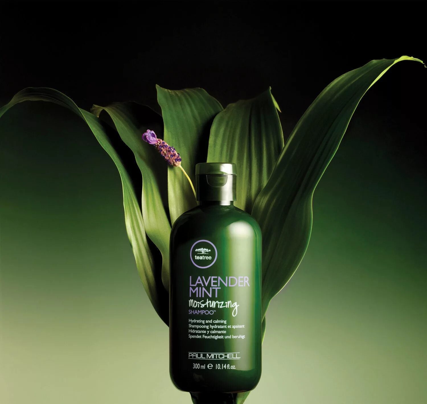 Пол Митчелл Lavender Mint Tea Tree. Tea Tree Paul Mitchell. Paul Mitchell Tea Tree Shampoo. Шампунь чайное дерево Paul Mitchell.