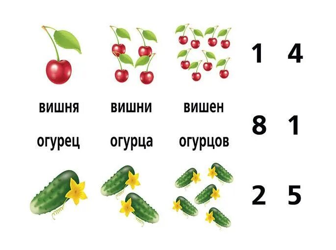 Два пять шапок. Два пять шапок