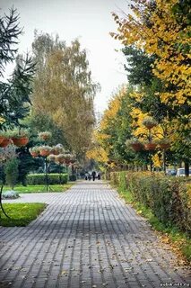 Королев осенью