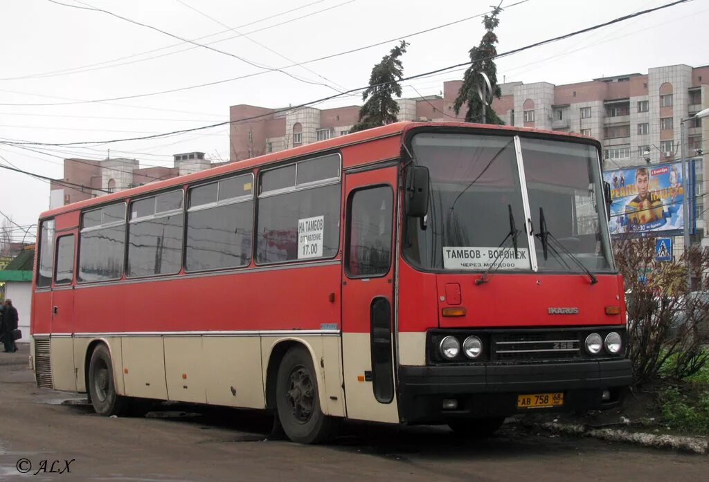 Автобус лиаз 5256 30. Автобусы с левобережного автовокзала воронежа. Левобережная автостанция воронеж димитрова. Вокзал воронеж димитрова. Юго-западная автостанция воронеж.