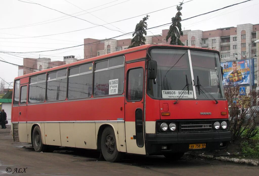 Левобережный автовокзал воронеж купить. Икарус Тамбов. Ikarus 256 Рига. Воронеж Тамбов автобус. Левобережный автовокзал.