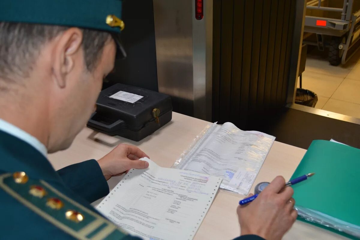 Проверка таможенной службы. Проверка таможенной службы. Проверка таможенной службы. Таможенник. Таможенное декларирование.