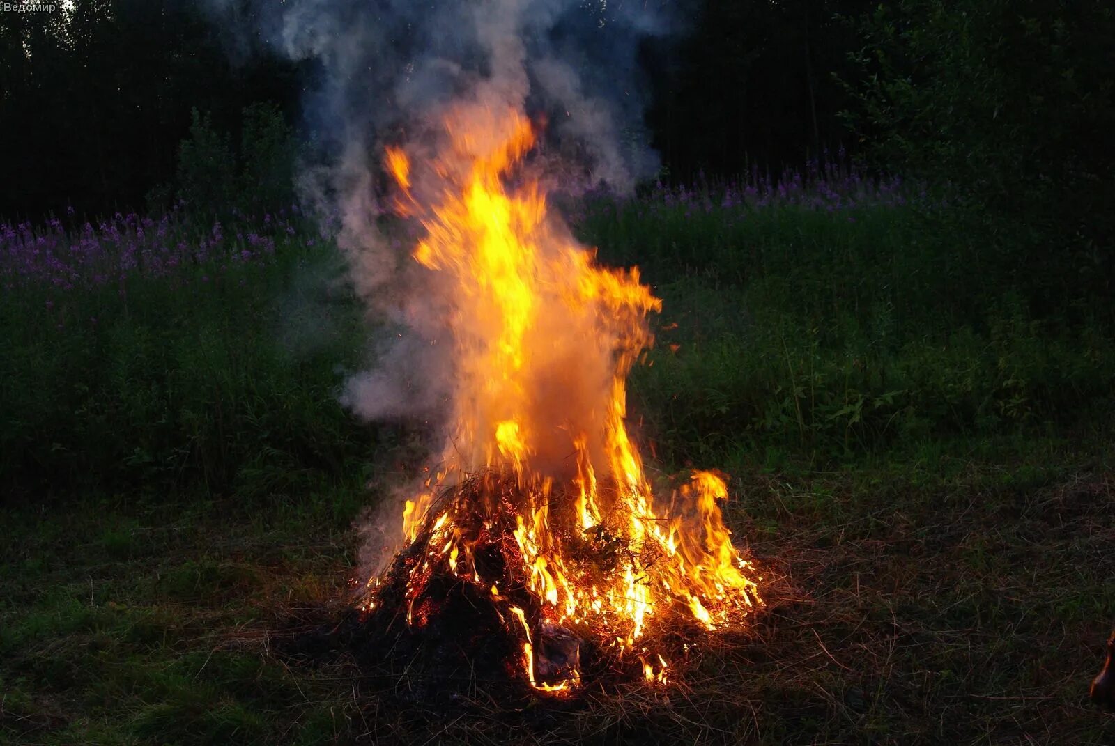 Огненный фон для презентации. Дым от костра. Дым костра. Пламя огня. Дым от костра.