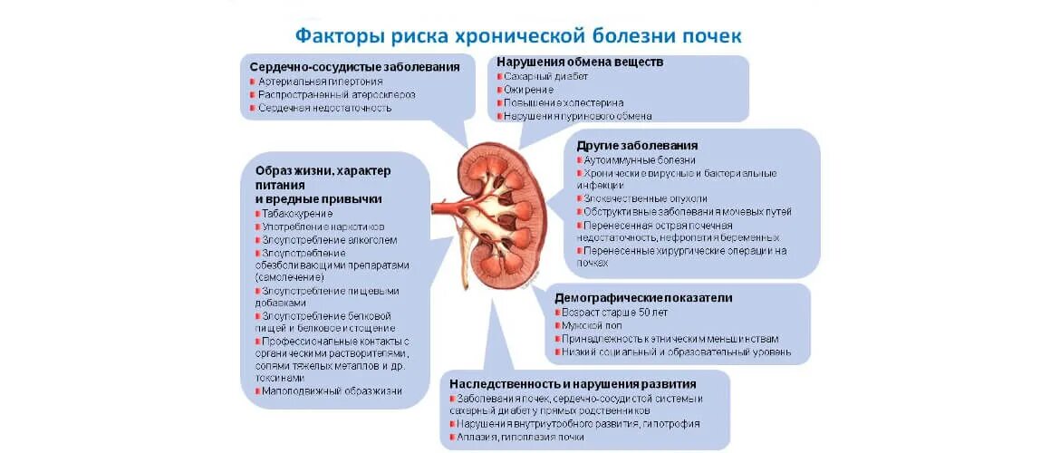 Что может привести к инфекционному заболеванию почек. Хроническая болезнь почек факторы риска. Признаком развития хронической болезни почек. Хронические заболевания почек и мочевыводящих путей список. Классификация заболеваний почек Robbins.