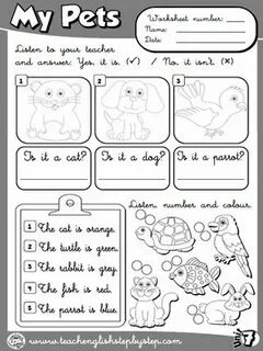 My pet english