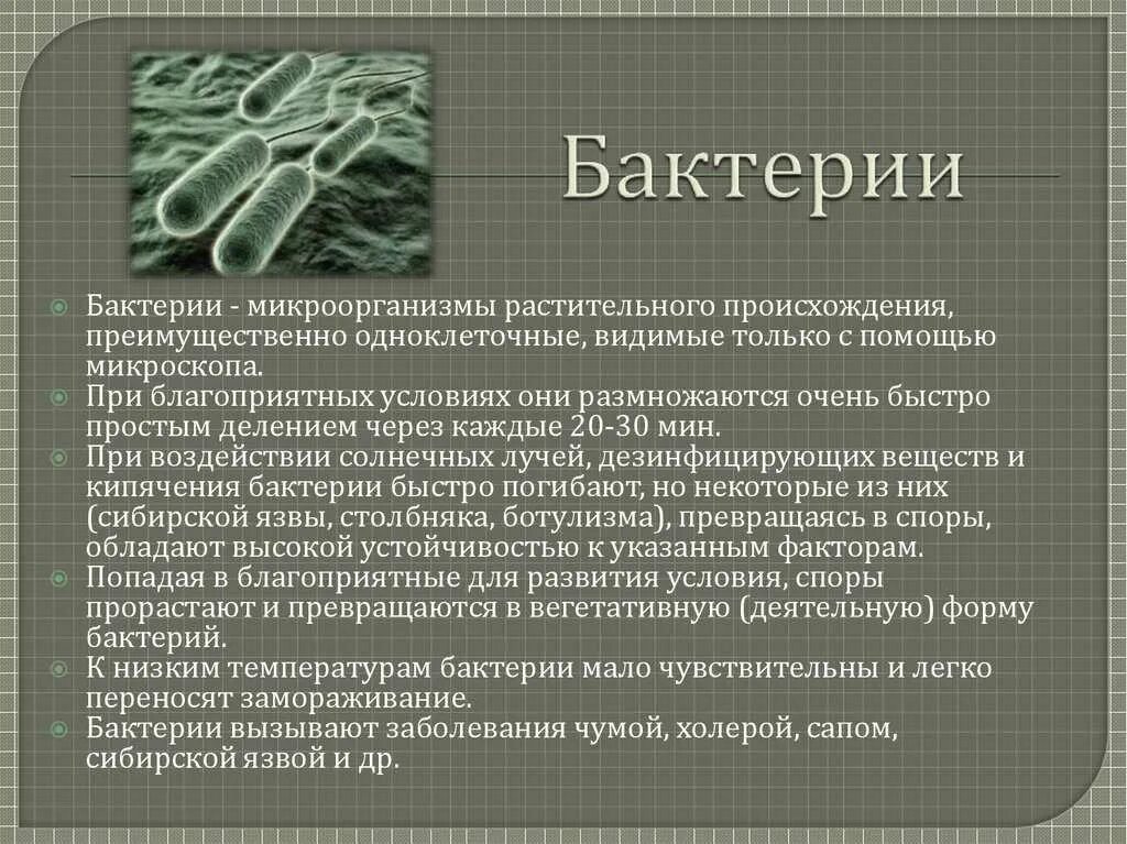 Заболевание вызванное рядом. Заболевания вызванные микроорганизмами. Информация о бактериях. Болезни вызываемые бактериями. Сообщение о бактериях.