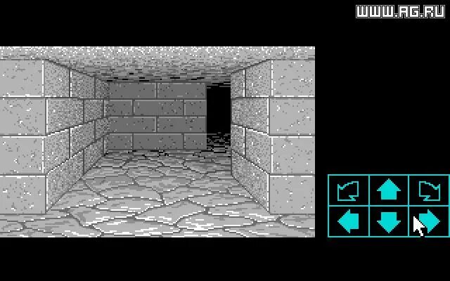 Dungeon hack. Dungeon master 1. dungeon master игра 1987г. dungeon master 1 игра. номер dungeon master.