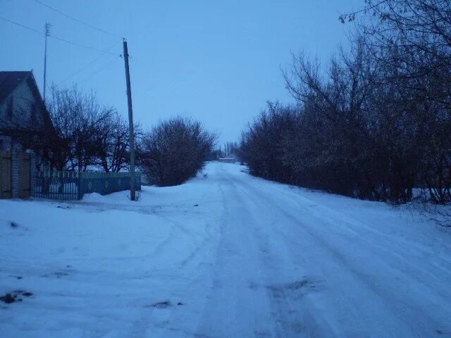 Воронежская область Репьевский район Прилужный. Хутор Прилужный Воронежской области. Село Платава Репьевского района. Село Россошь Репьевского района.