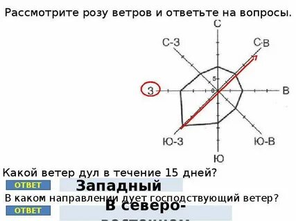 Рассмотрите розу ветров