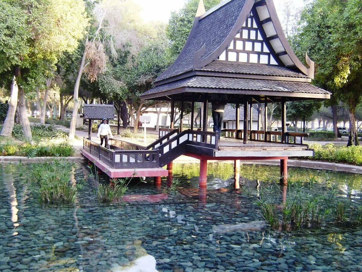 Mushrif park дубай. Mushrif park dubai. Парк мушриф. Центральный парк мушриф. Центральный парк мушриф.