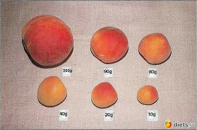 масса 4 персиков. нектарин турция 1кг. масса 4 персиков. персики 1 кг. масса 4 персиков.