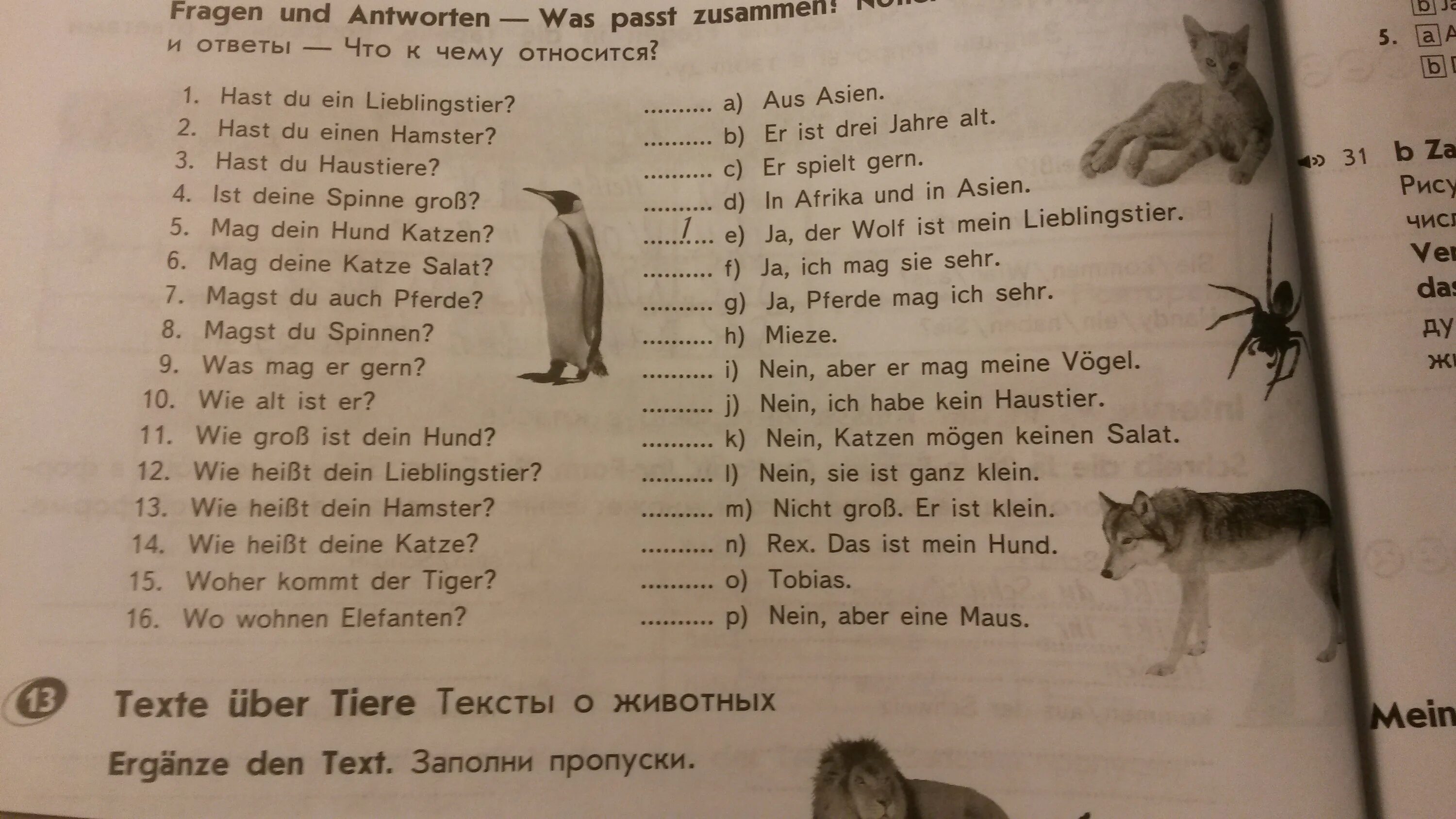Sie ist alt. Немецкие слова на тему животные. Стих про животных на немецком. Текст на немецком языке для 2 класса. Животные на немецком языке 5 класс.